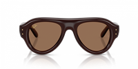 Gafas de sol Ray-Ban WAYFARER PUFFER 0RB4925 52 689673 - 0RB4925 52 689673